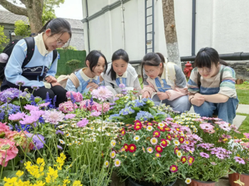 探寻荣氏人文，感悟梅花精神